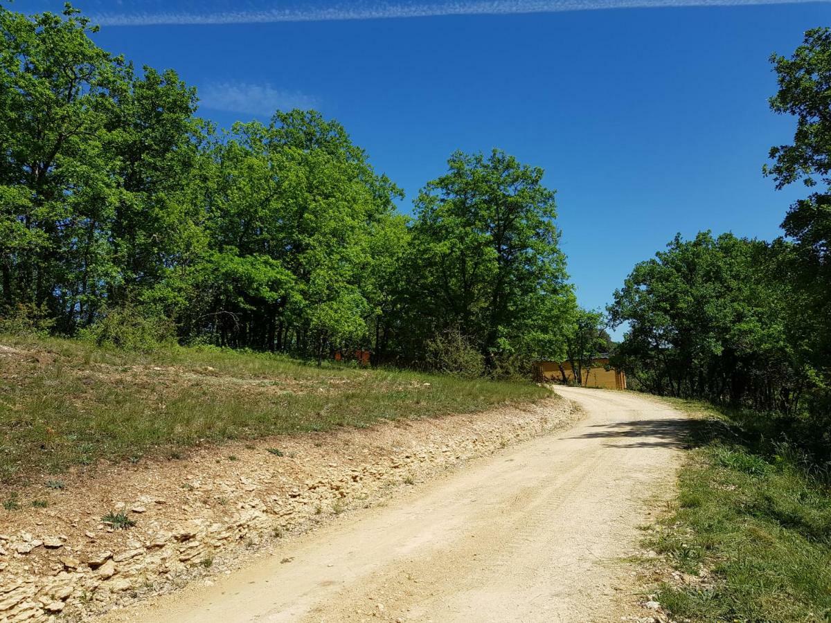 Gites Du Chene Vert Montignac-Lascaux Exterior foto